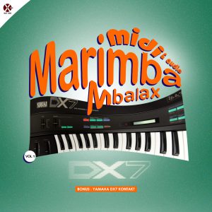 Marimba Mbalax V. 1 (MIDI, WAV, KONTAKT)